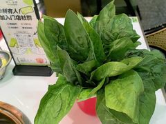-洪氏嗨捞·猪肚鸡火锅(阳光天地店)