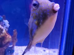 -太平洋海底世界