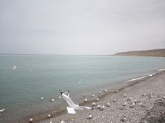 -青海湖国家重点风景名胜区