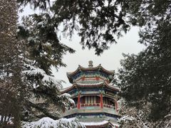 -颐和园