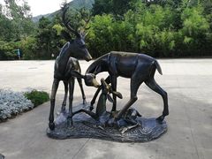 -西安秦岭野生动物园