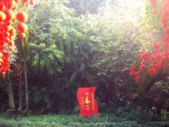 -人民公园(罗湖区)