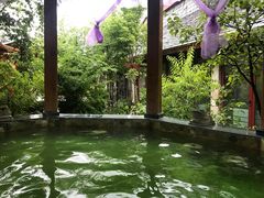 -汉拿山温泉度假酒店