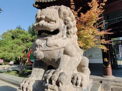 -莲湖公园