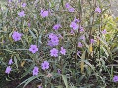 -星美国际影商城(黄龙店)