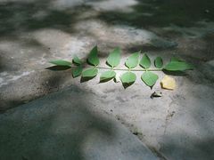-北京国子监胡同