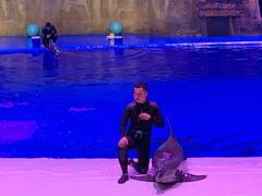 -华夏文旅海洋公园