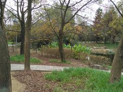 -贵阳市花溪国家城市湿地公园