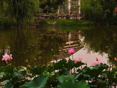 -郑州植物园