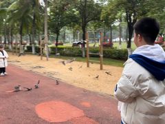 -万绿园