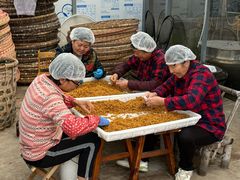 -苏州市吴中区光福窑上花果蜜饯厂