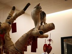 -袖虎·猫馆(体育西路店)