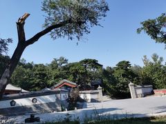 -阳台山自然风景区