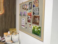 -柯达靓之彩影像网络(明瓦廊店)