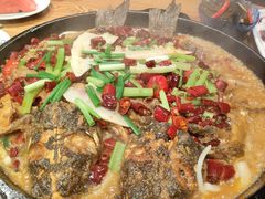 -老板恋上鱼(高新万达店)