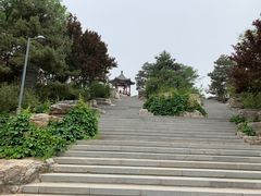 -大兴滨河森林公园