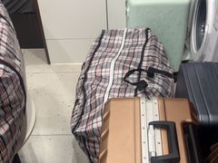 -蚂蚁搬家成都打包搬运公司