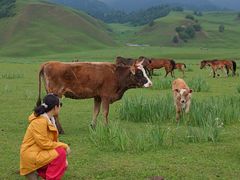 -新疆那拉提国家旅游度假区