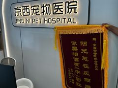 -西安京西宠物医院·瘫痪·疑难杂症