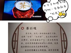 -四川宋瓷博物馆