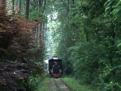 -合肥滨湖国家森林公园