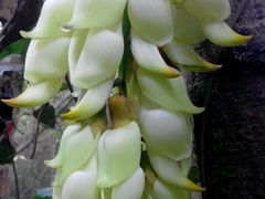 -清溪森林公园