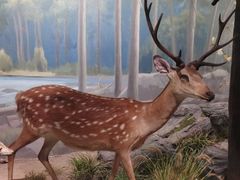 -武汉园博园(武汉自然博物馆)