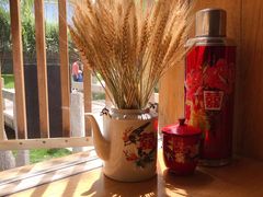 -春风习习