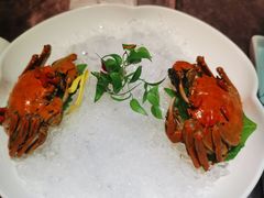 清蒸六月黄-蟹榭·本帮江浙菜·蟹宴(五角场合生汇商场店)