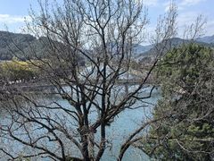 -溪口-滕头旅游景区