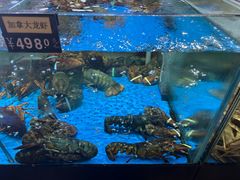 -蟹之国·精品蟹料理(极地店)