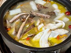 -蘑统田下·野生菌火锅