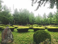 -西清公园