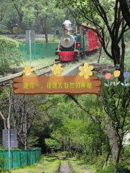 -麦粒鸟亲子游