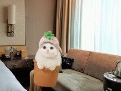 -杭州城中香格里拉大酒店