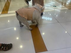-凯德广场(西城店)