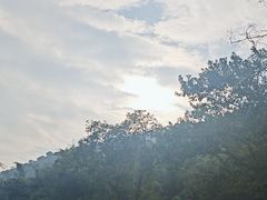 -羚羊峡古栈道森林公园