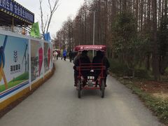 -上海长兴岛郊野公园