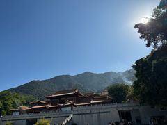 -深圳仙湖植物园