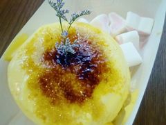 -狐狸和向日葵(北京路店)