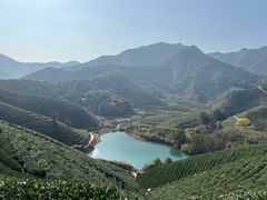 -龙坞茶村