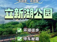 -立新湖公园