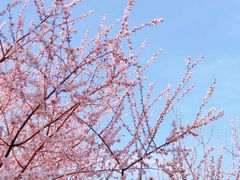 -坝河休闲公园