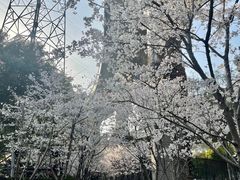 -锦江乐园(地铁站)