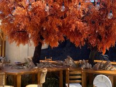 -Blue Concept Cafe&Farm·關於藍
