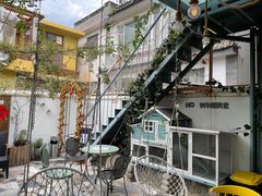 -喵屿·大理花园猫咖