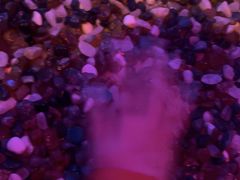 -水木谷养生水汇