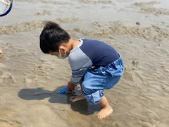 -南汇嘴观海公园