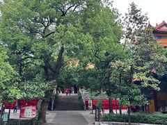 -宝通禅寺