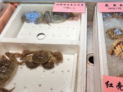 -瑞福园联谊餐室(茂名南路店)